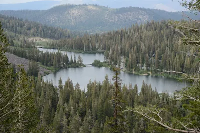 DSC_2937 (Large).JPG